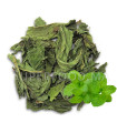 Menthe verte séchée au Maroc نعناع اخضر جاف