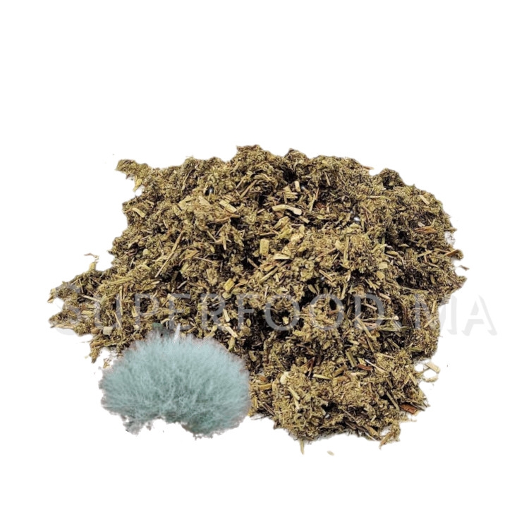 Armoise séchée au Maroc عشبة الشيح