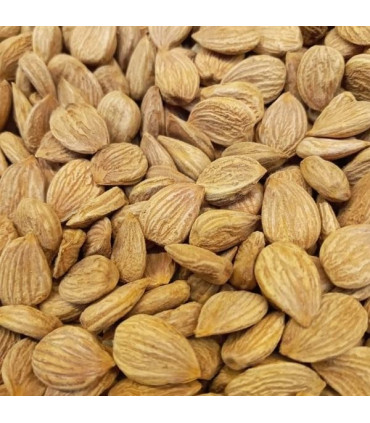 Amandes d'abricots amères - Vitamine B17 لوز المشماش المر