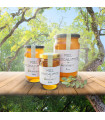 Miel d'Eucalyptus au Maroc عسل الأوكالبتوس