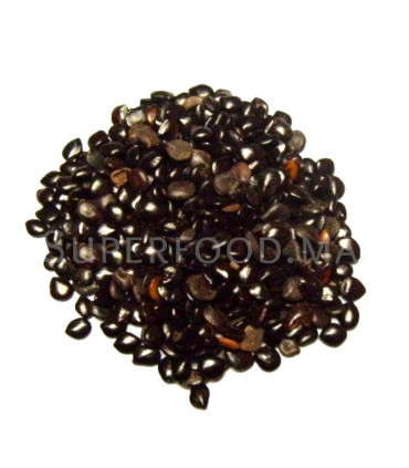 Graines de Nigelle d'Arabie Saoudite  - Habbat el baraka  الحبة السوداء -حبة البركة