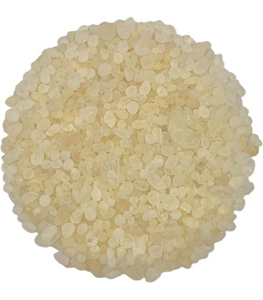 GOMME MASTIC PREMIUM DE L’ÎLE DE CHIOS المستكة الحرة من جزيرة خيوس اليونانية