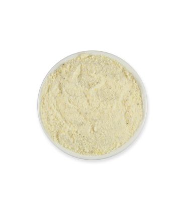 GOMME MASTIC PREMIUM DE L’ÎLE DE CHIOS المستكة الحرة من جزيرة خيوس اليونانية