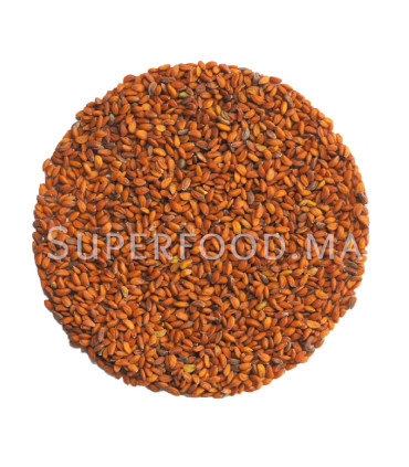 Graines de cresson حب الرشاد