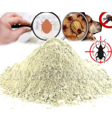 Terre de Diatomée Bio Non calcinée - grade alimentaire E551c