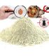 Terre de Diatomée Bio Non calcinée - grade alimentaire E551c