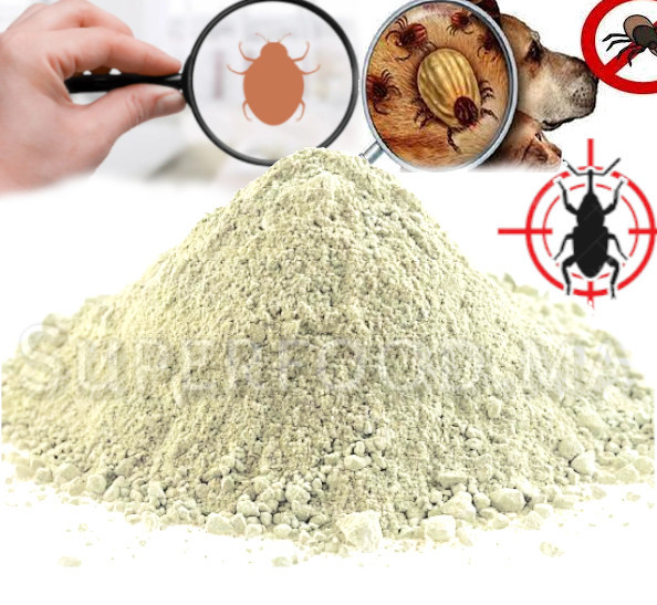 Terre de Diatomée Bio Non calcinée - grade alimentaire E551c