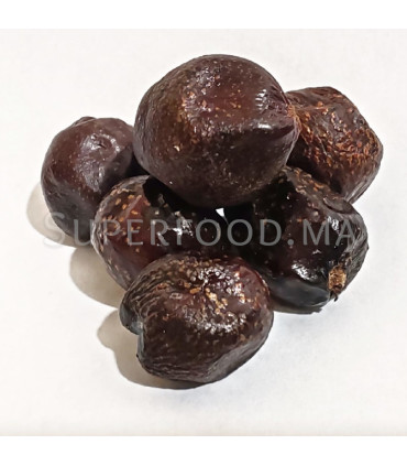 FRUIT DU PALMIER NAIN DU MAROC, GHAZ, DOUM حب أغاز. ثمار غاز الدوم