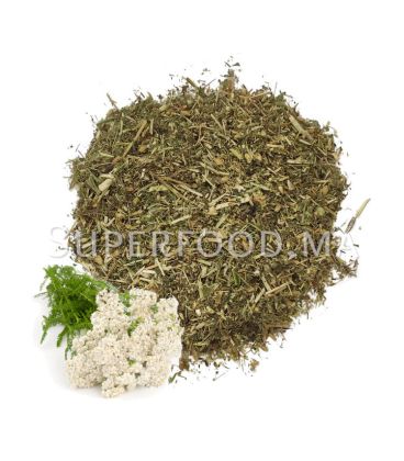 Achillée Millefeuille Au Maroc الحزنبل أو الفكية أو عشبة النفسة