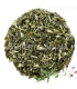 Echinacée ( Echinacea ) اكناسيا