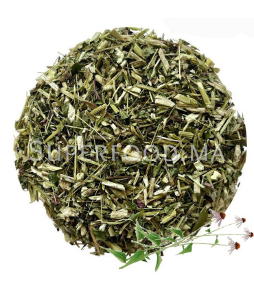Echinacée ( Echinacea ) اكناسيا