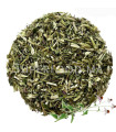 Echinacée ( Echinacea ) اكناسيا