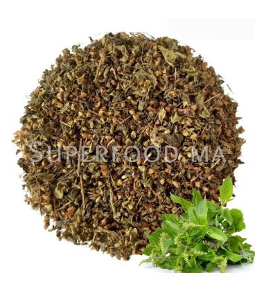 TULSI, BASILIC SACRE naturel au Maroc التولسي أو ريحان مقدس