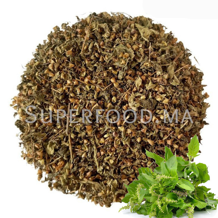 TULSI, BASILIC SACRE naturel au Maroc التولسي أو ريحان مقدس