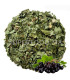 Feuilles de Cassis Séchées 100% Naturelles  ورق الكسيس ورق التوت الأسود