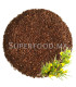 Rooibos Rouge au Maroc الرويبوس الأحمر