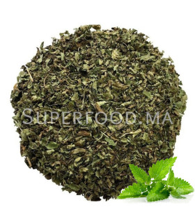 Mélisse officinale au Maroc شاي المليسة