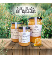 Miel Blanc de Romarin au Maroc العسل الأبيض - إكليل الجبل