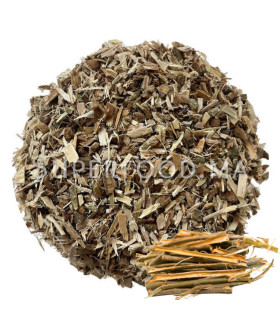 ÉCORCE DE SAULE BLANC AU MAROC لحاء الصفصاف الأبيض