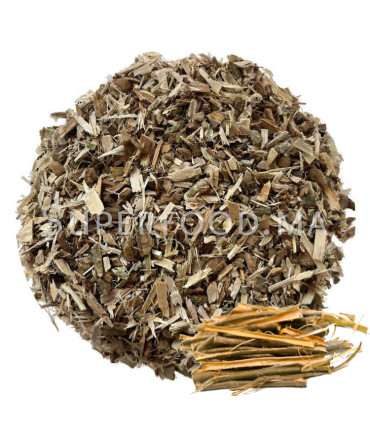 ÉCORCE DE SAULE BLANC AU MAROC لحاء الصفصاف الأبيض