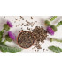 Graines de Chardon Marie, la plante du foie ( بذور الخرفيش ( الشوك