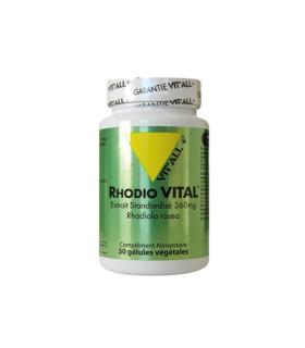 Vitall+ rhodiola vital 360mg 30 gélules روديولا فيتال