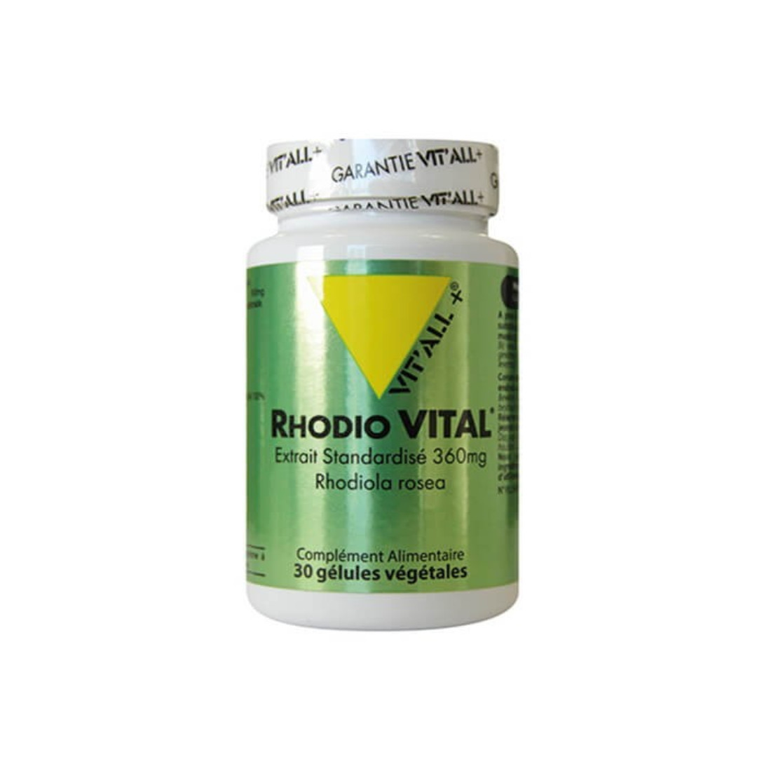 Vitall+ rhodiola vital 360mg 30 gélules روديولا فيتال