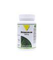 Desmodium BIO Vitall+ 200mg 100 gélules ديسموديوم