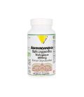 Ashwagandha BIO Vitall+ 600mg 60 gélules أشواجاندا