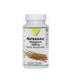Astragale BIO Vitall+ 500mg 60 gélules أستراجال
