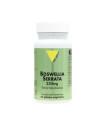 Boswellia Serrata BIO Vitall+ 60 gélules بوسويليا سيراتا