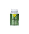 Vitall+ Berberis BIO 500 mg Complement Alimentaire 60 gélules برباريس 500 ملغ مكمل غذائي