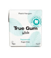 True gum blancheur sans sucre 21g علكة ترو غوم تبييض بدون سكر