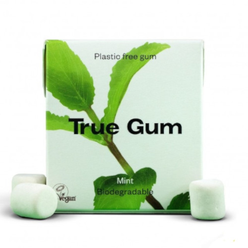 True gum menthe sans sucre 21g علكة ترو غوم نعناع بدون سكر