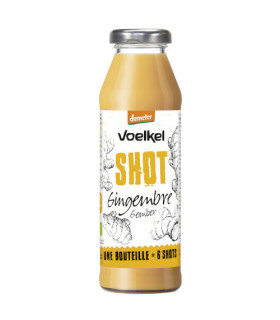 Voelkel Shot Gingembre 280ML فولكل شوت زنجبيل