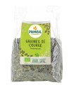 Primeal Graines de Courge BIO  بذور اليقطين
