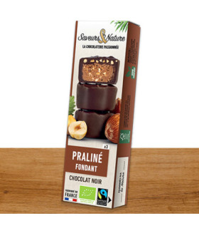 Saveurs & Nature Bouchées Praliné Noisette Chocolat 70% 45G  قطع البندق المحشو بالبراين مع الشوكولاتة