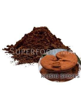Spores de Reishi en Poudre au Maroc ابواغ الفطر الريشي