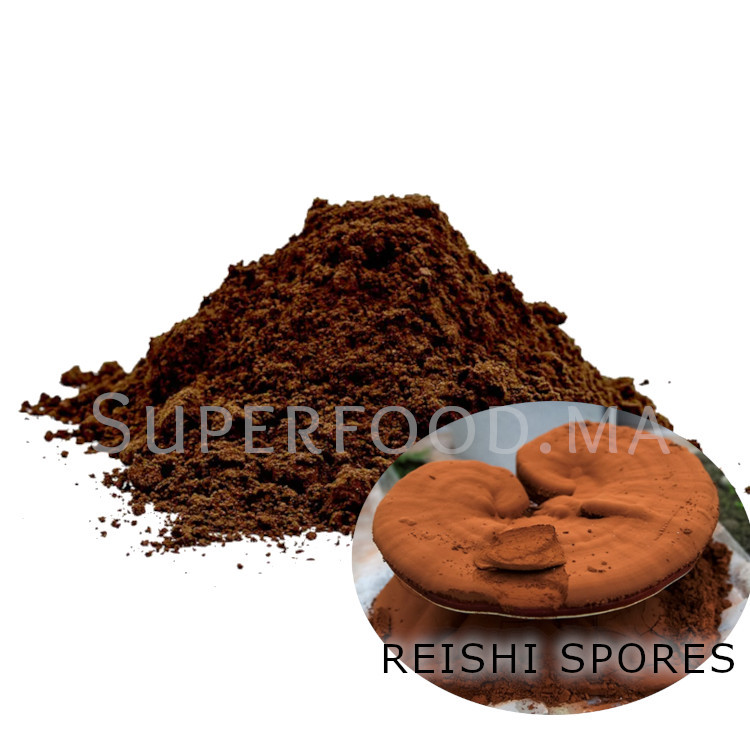 Spores de Reishi en Poudre au Maroc ابواغ الفطر الريشي