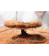 Spores de Reishi en Poudre au Maroc ابواغ الفطر الريشي
