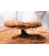 Spores de Reishi en Poudre au Maroc ابواغ الفطر الريشي
