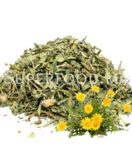 Feuilles et Fleurs de Pissenlit au Maroc الهندباء