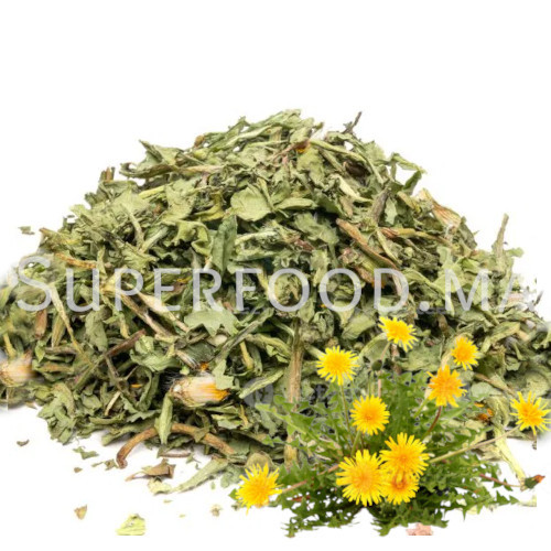 Feuilles et Fleurs de Pissenlit au Maroc ورق و زهور الهندباء