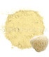 Hydne hérisson au Maroc- عرف الأسد - Hericium erinaceus