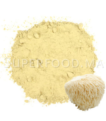 Hydne hérisson au Maroc- عرف الأسد - Hericium erinaceus
