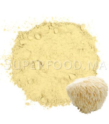 Hydne hérisson au Maroc- عرف الأسد - Hericium erinaceus