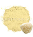 Hydne hérisson au Maroc- عرف الأسد - Hericium erinaceus
