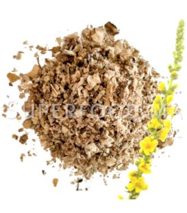 Molène, Bouillon blanc au Maroc- بوصير / الخشخاشية