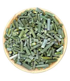 Prêle d'Hiver au Maroc ذيل الحصان