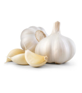 Ail Gousse فص الثوم